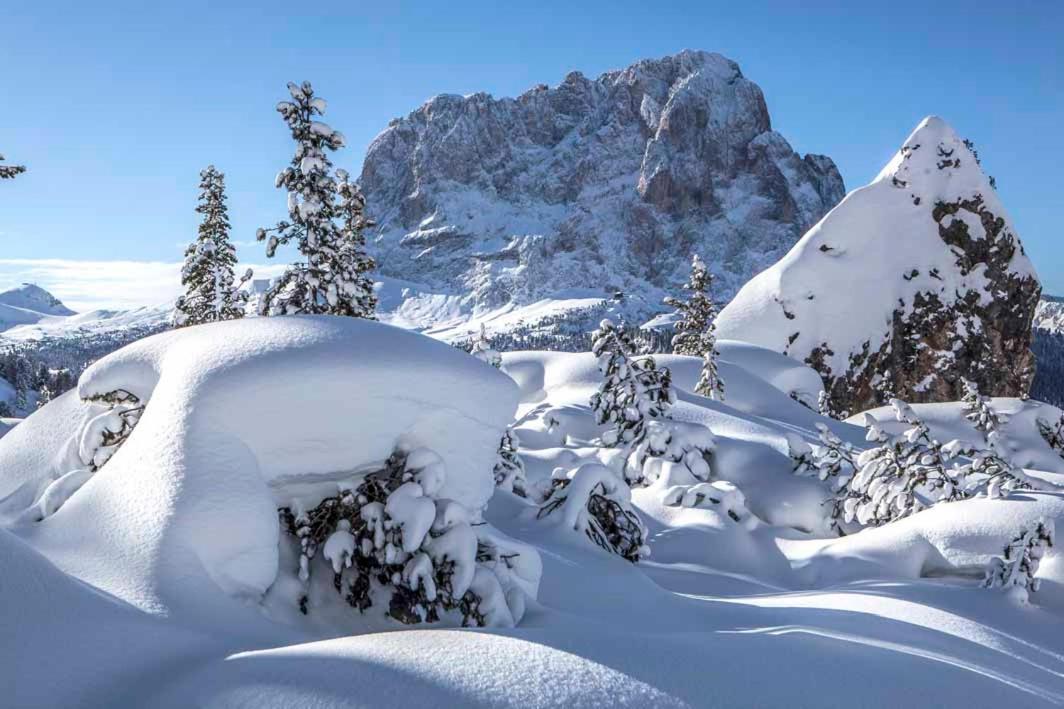 Residence Villa Al Sole Selva di Val Gardena Luaran gambar